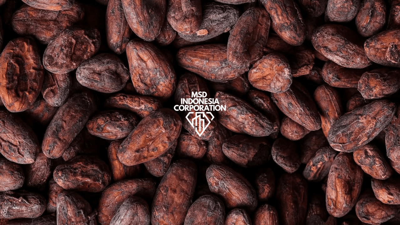 Cacao Beans thumbnail 3