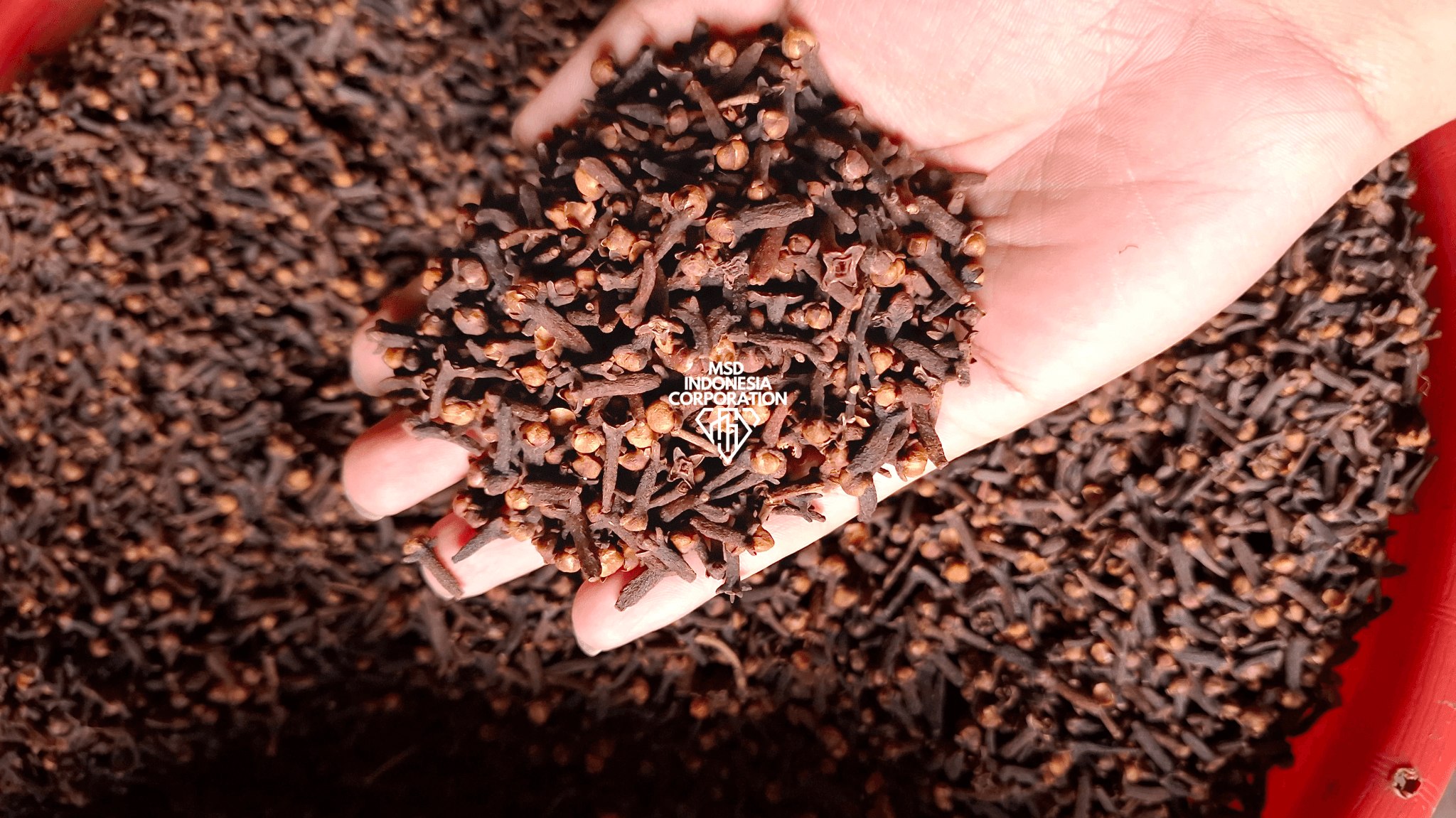 Cloves thumbnail 3