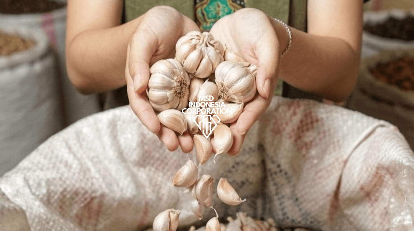 Garlic - Image 1