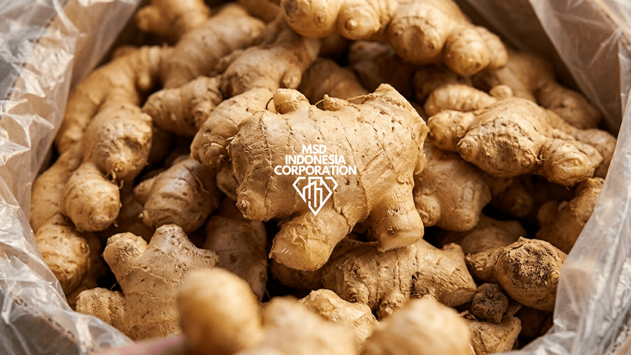 Ginger - Image 1