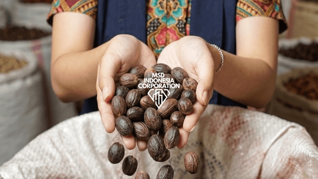 Nutmeg - Image 1