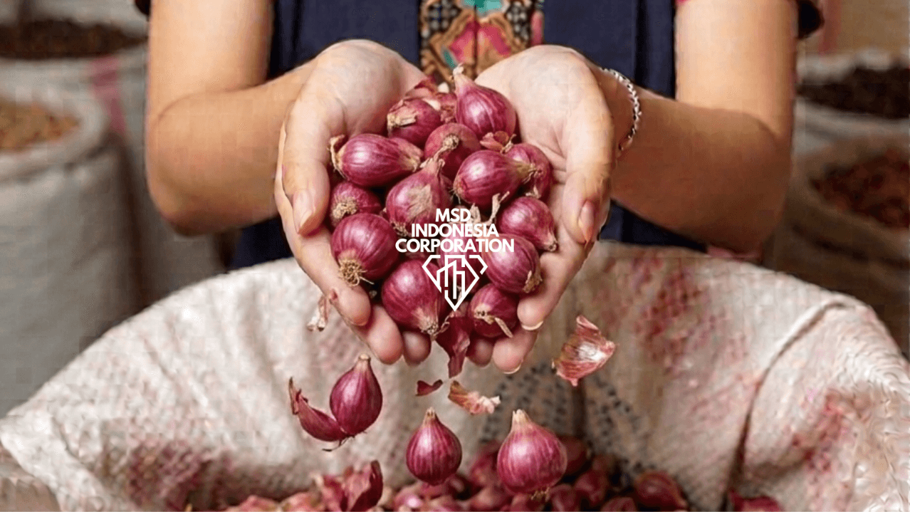 Shallot - Image 1