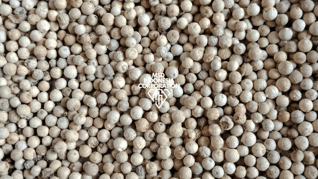 White Pepper thumbnail 3