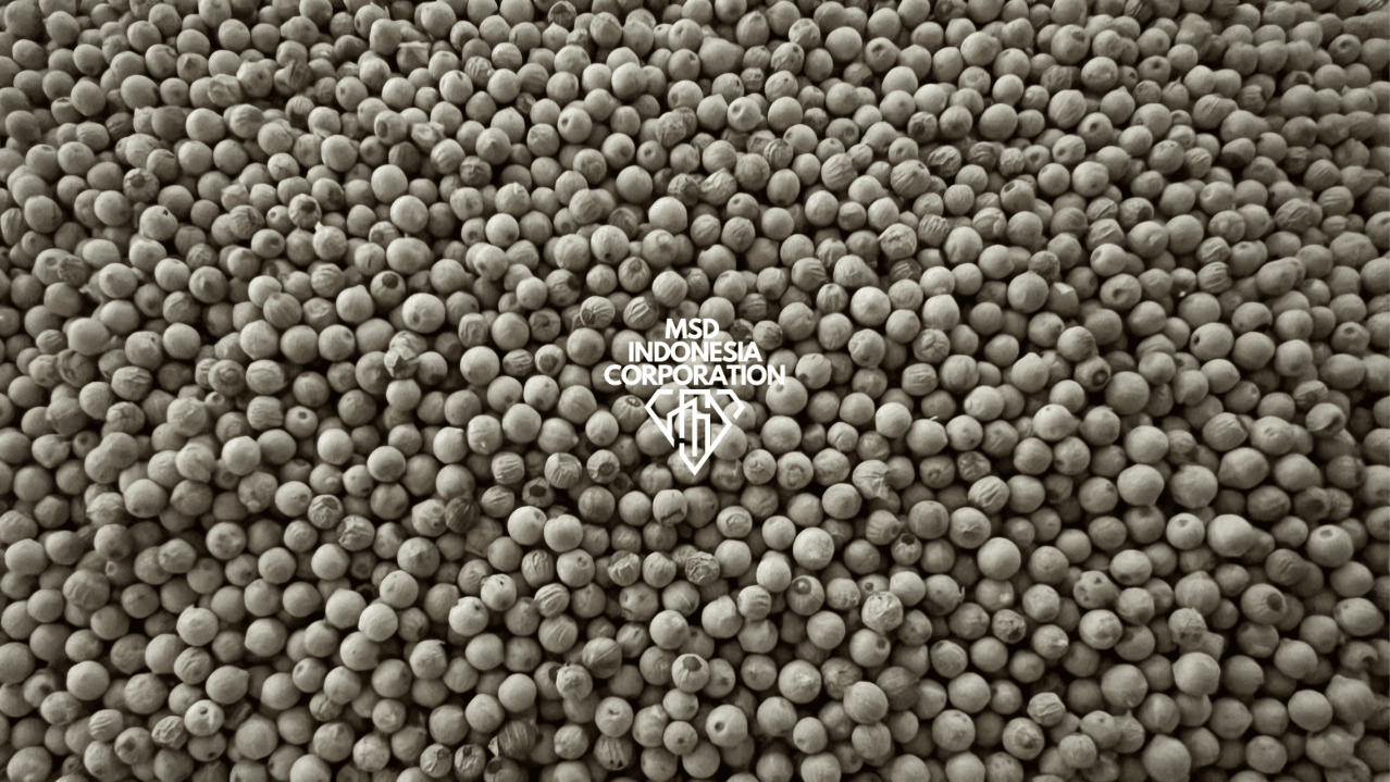 White Pepper thumbnail 4